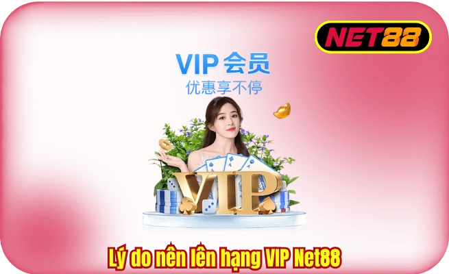 ly do nen len hang vip net88 Lý do nên lên hạng VIP Net88