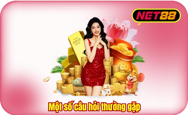 mot so cau hoi thuong gap Một số câu hỏi trong hướng dẫn nạp tiền NET88