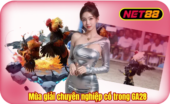 mua giai chuyen nghiep co trong sanh ga88 Mùa giải chuyên nghiệp có trong sảnh GA88