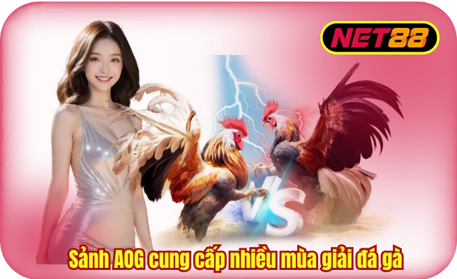 sanh aog cung cap nhieu mua giai da ga Sảnh AOG cung cấp nhiều mùa giải đá gà